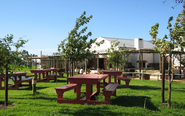 Dine at one of the many divine eateries in Stanford